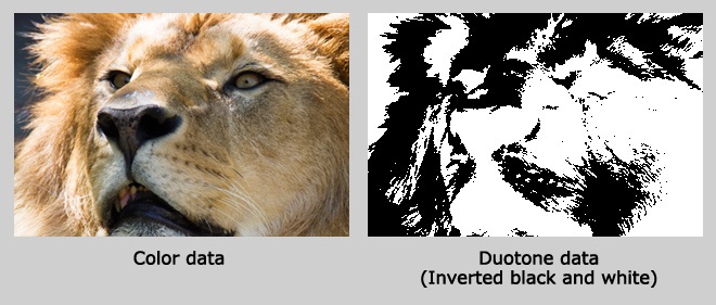 Create image data