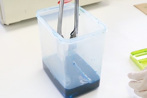 Put the case in the solution!