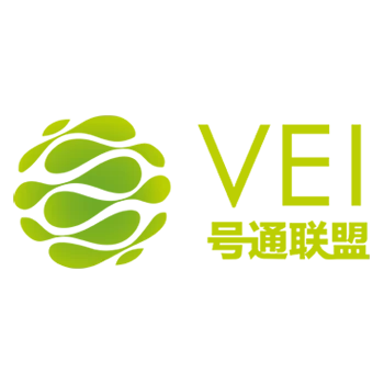 Logo Veii WEB PNG