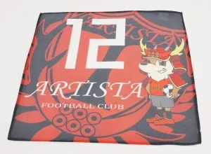 Ideal Applications Are Sports Team Items